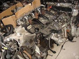 Nissan Primastar, other