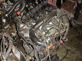 Renault Trafic, другое