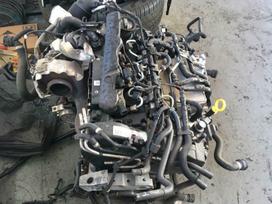 Skoda Kodiaq, DFG, Tik variklis dalimis ir dalys aplink varikli varikio kodas dfga