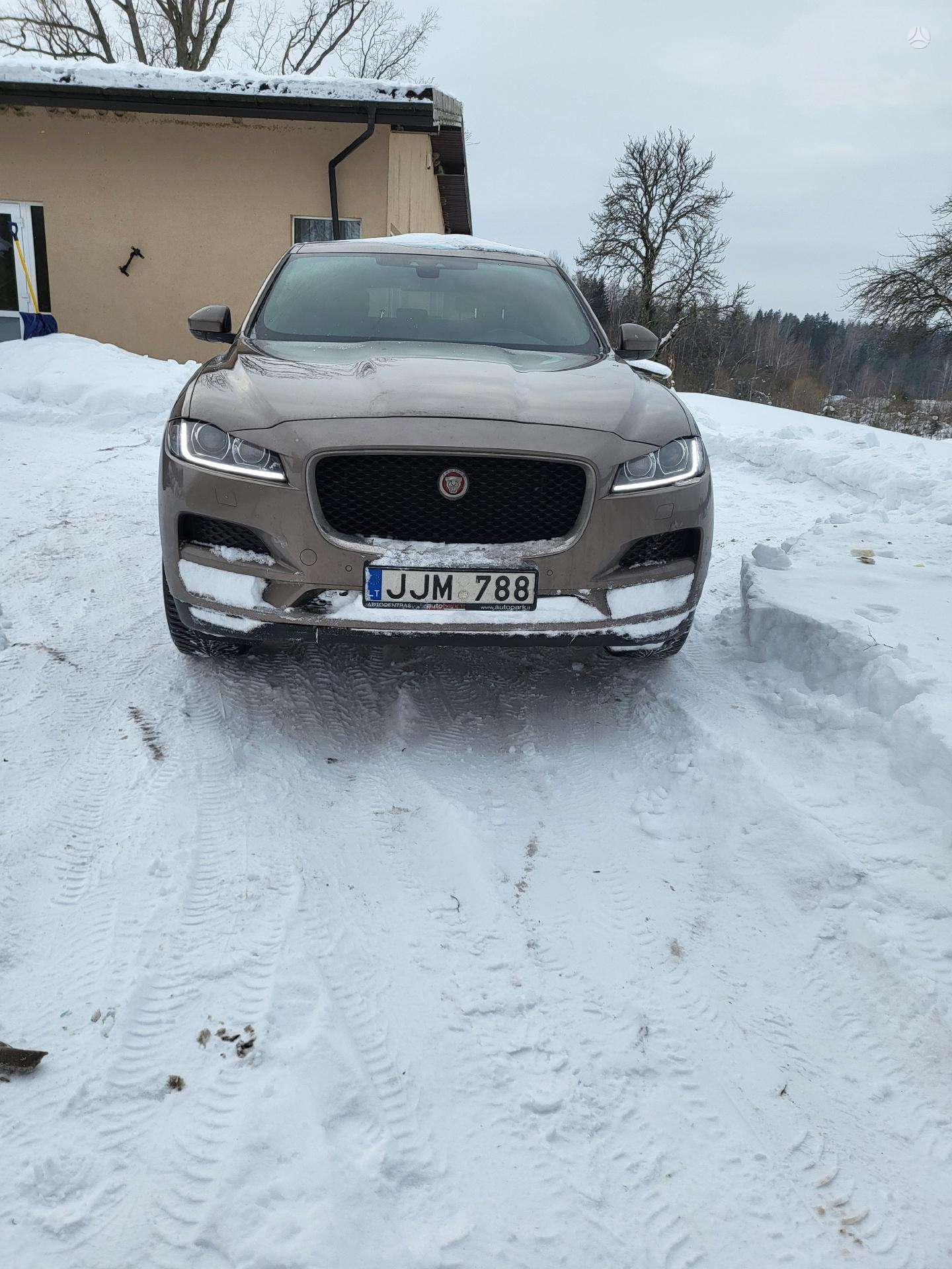 Nuotrauka 1 iš 4
