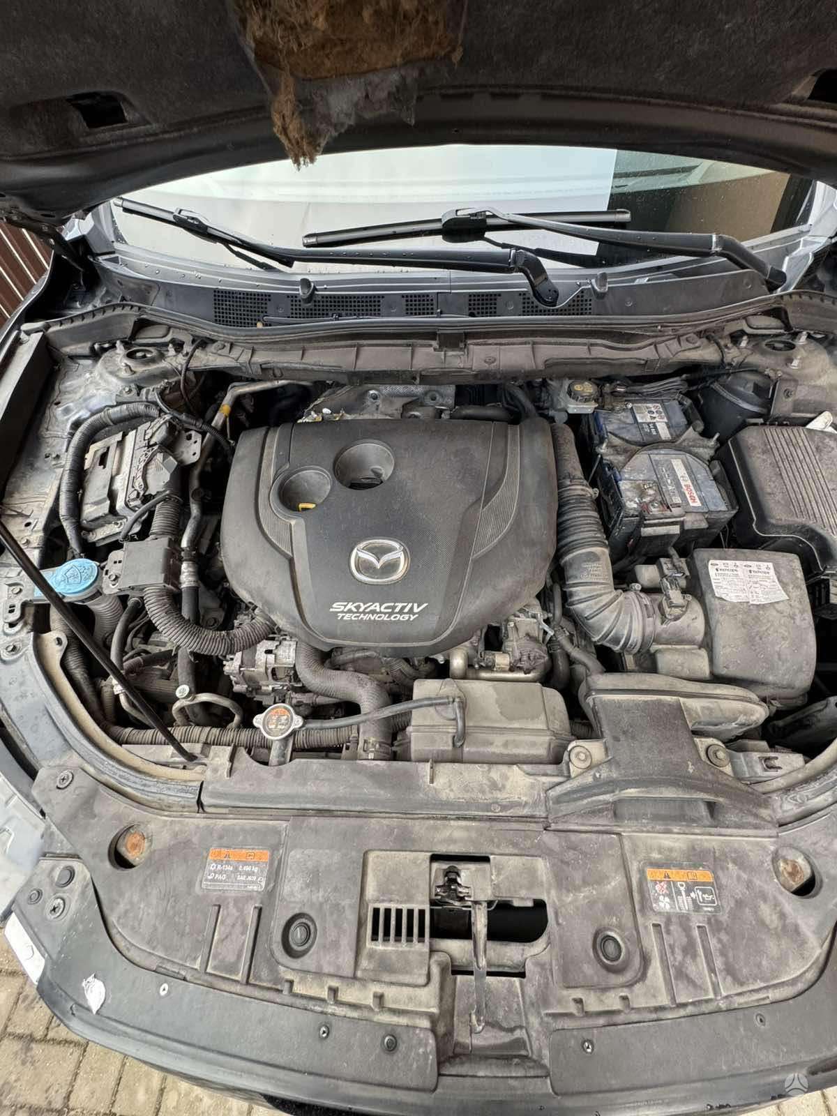 Nuotrauka 4 iš 4