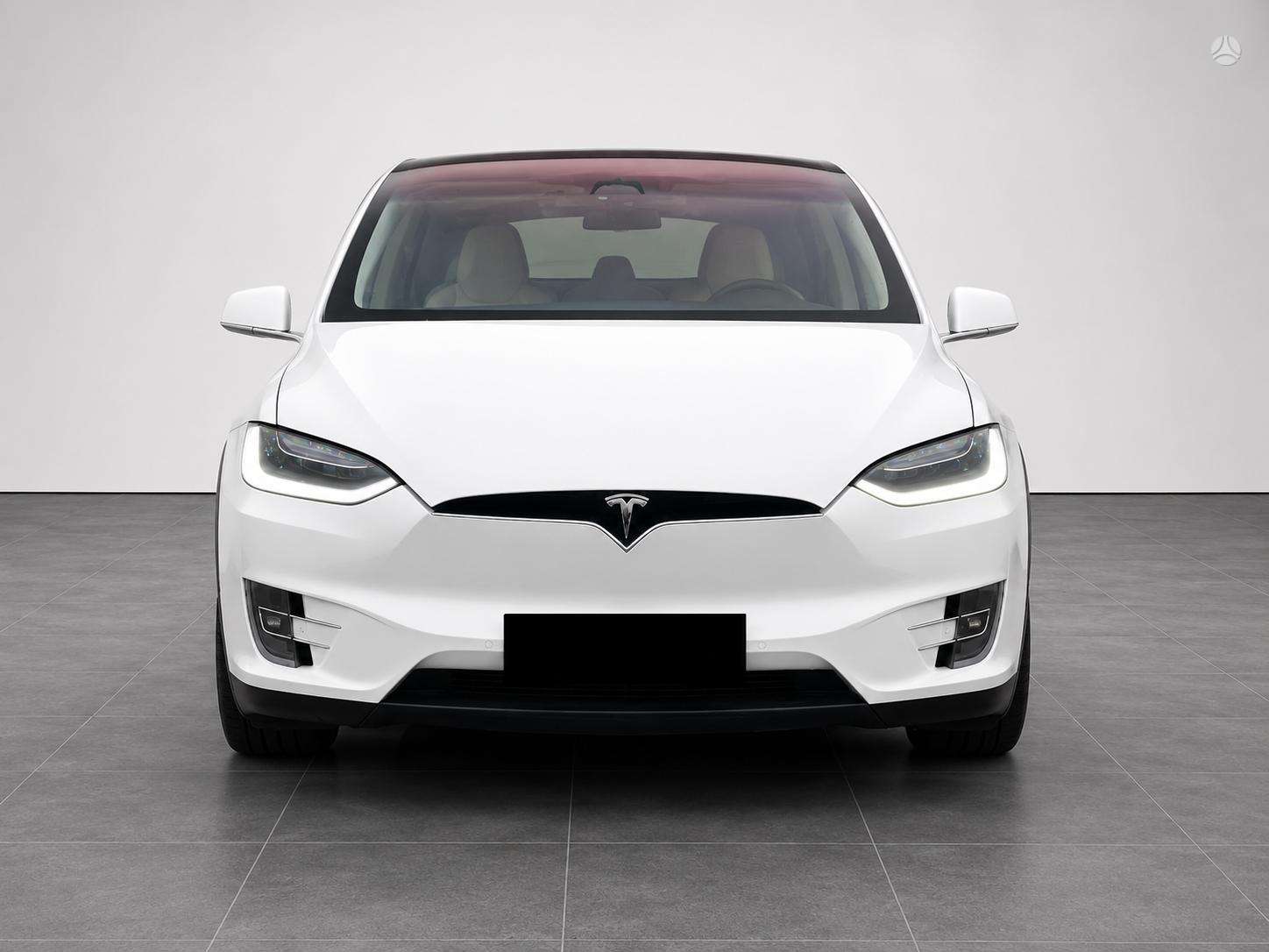 2017 Tesla Model X photo 2