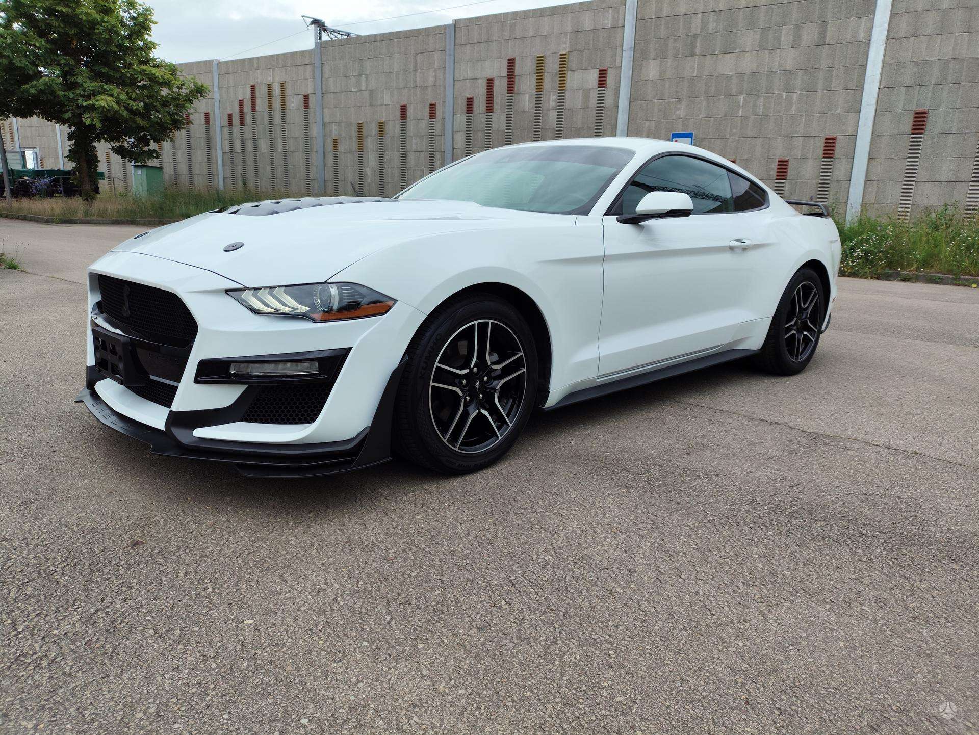 2. foto no 4