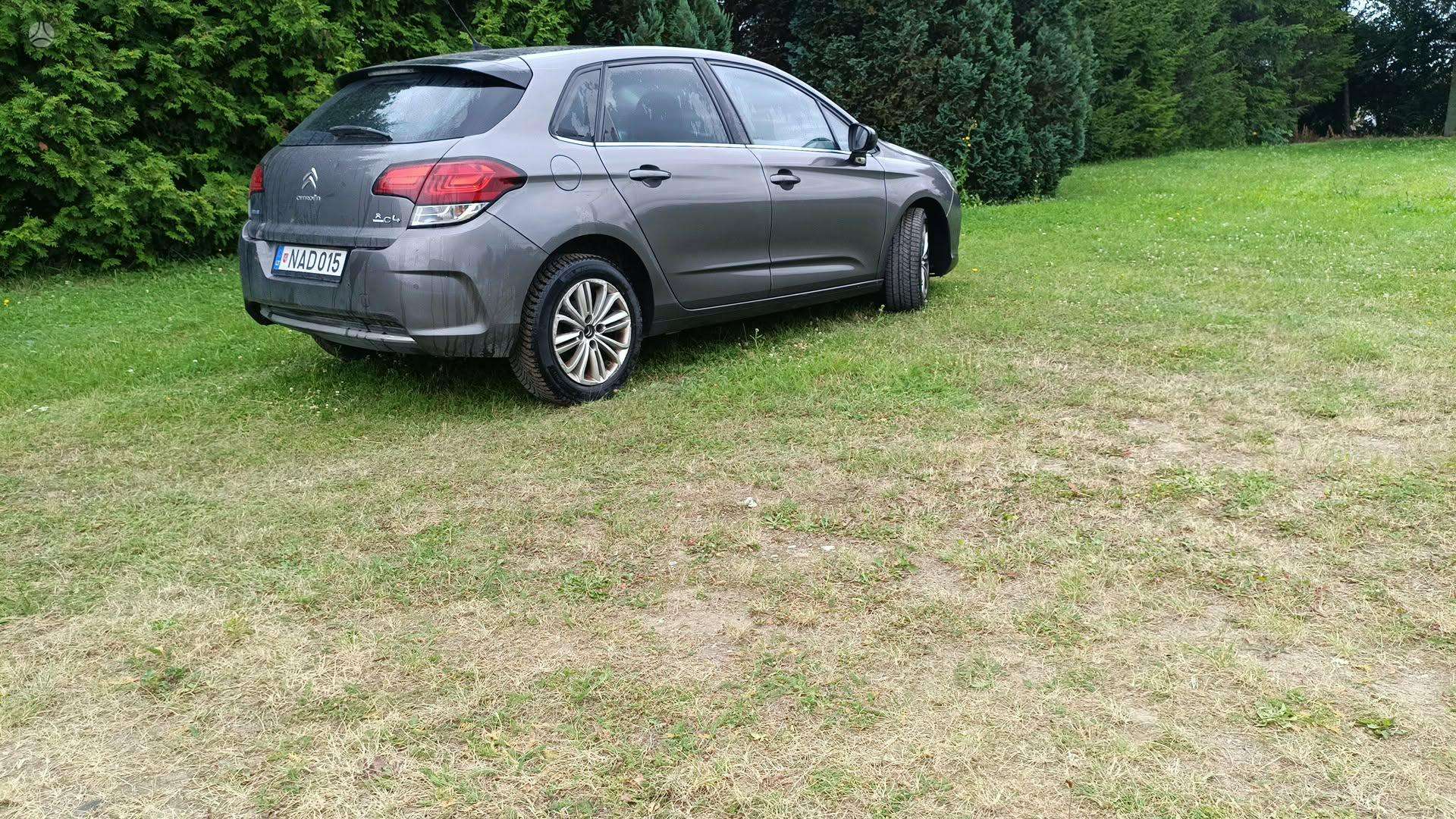 Nuotrauka 3 iš 4