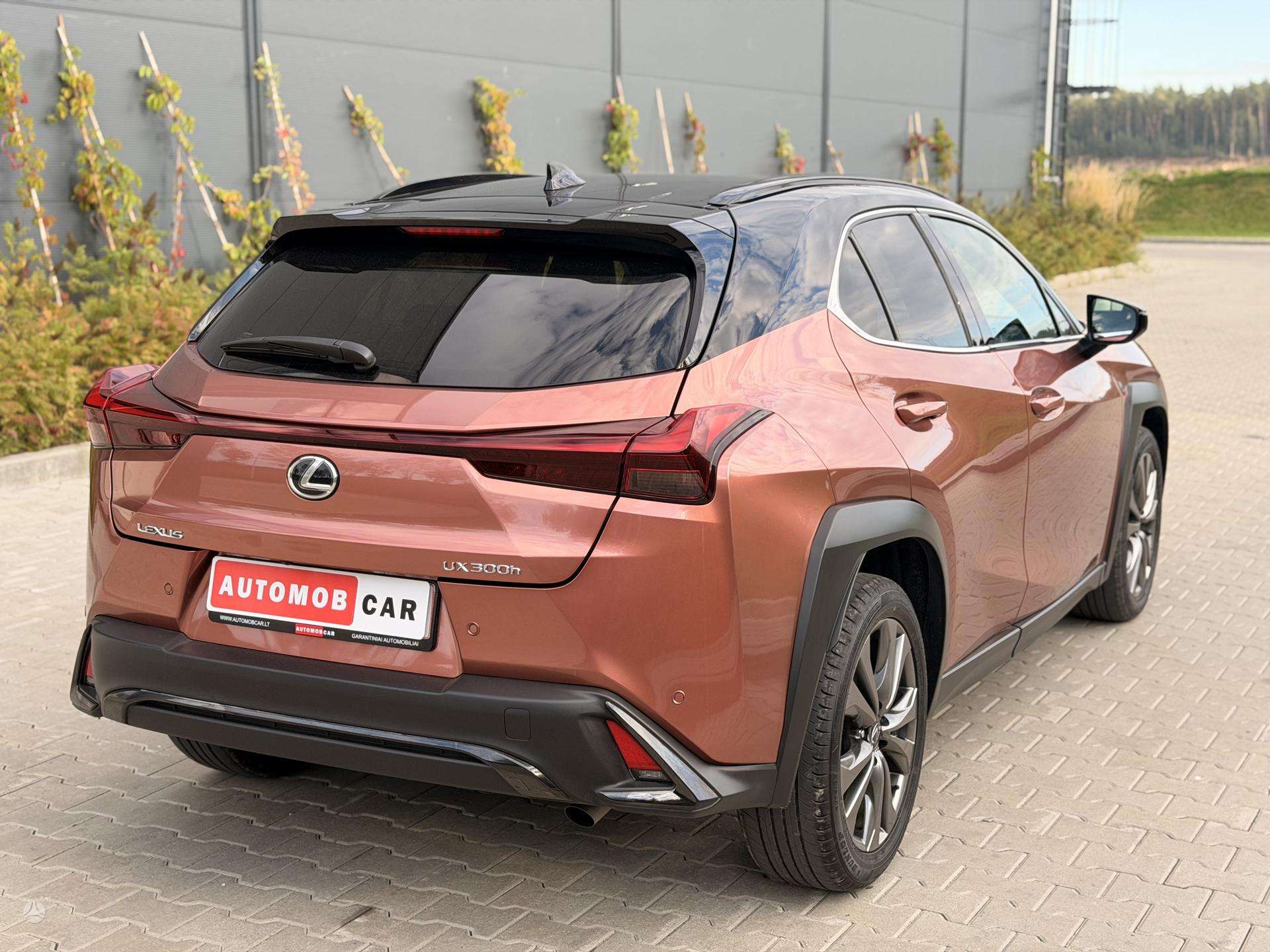 Lexus Ux 300h nuotrauka 7