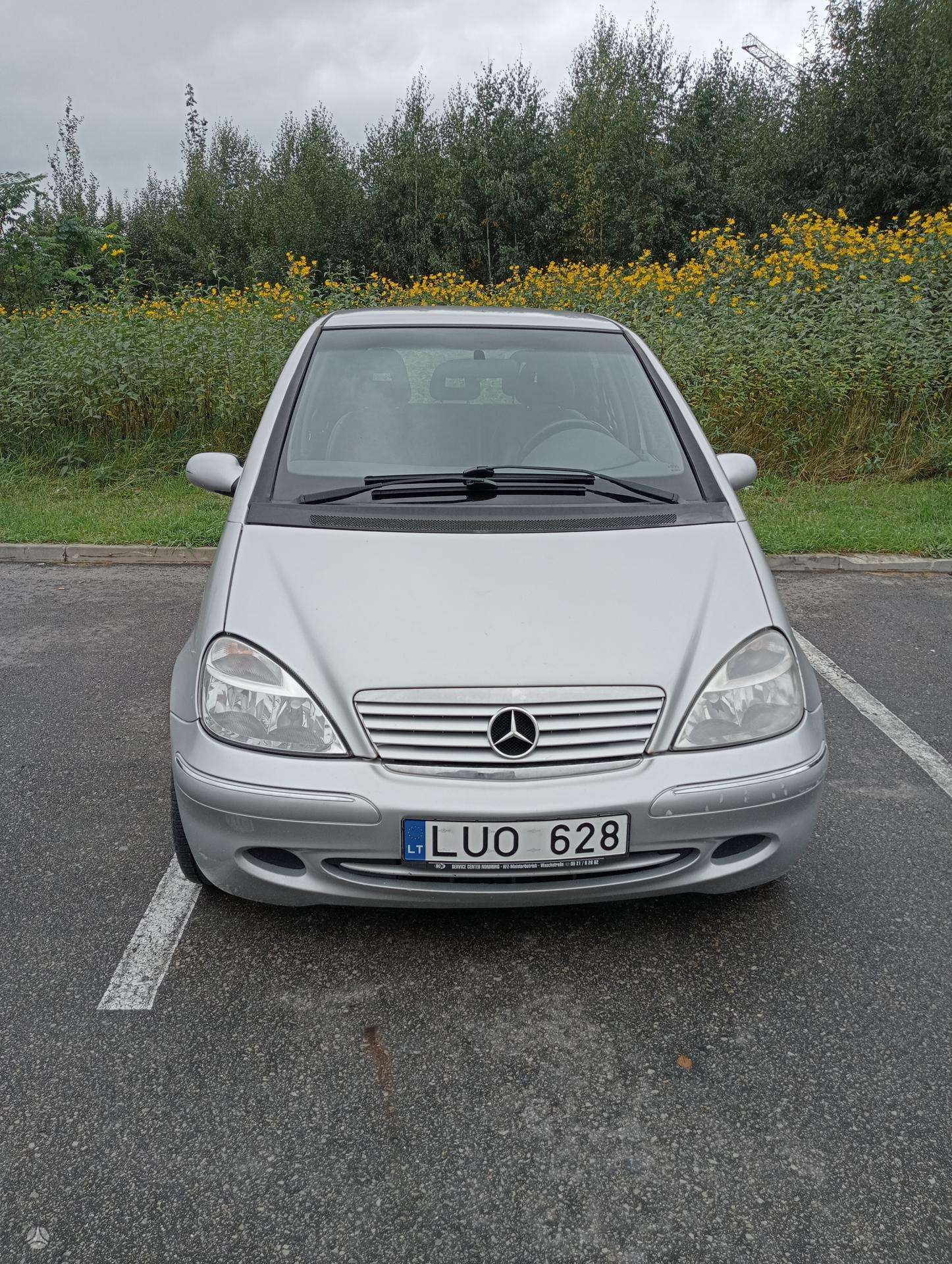 3. foto no 4