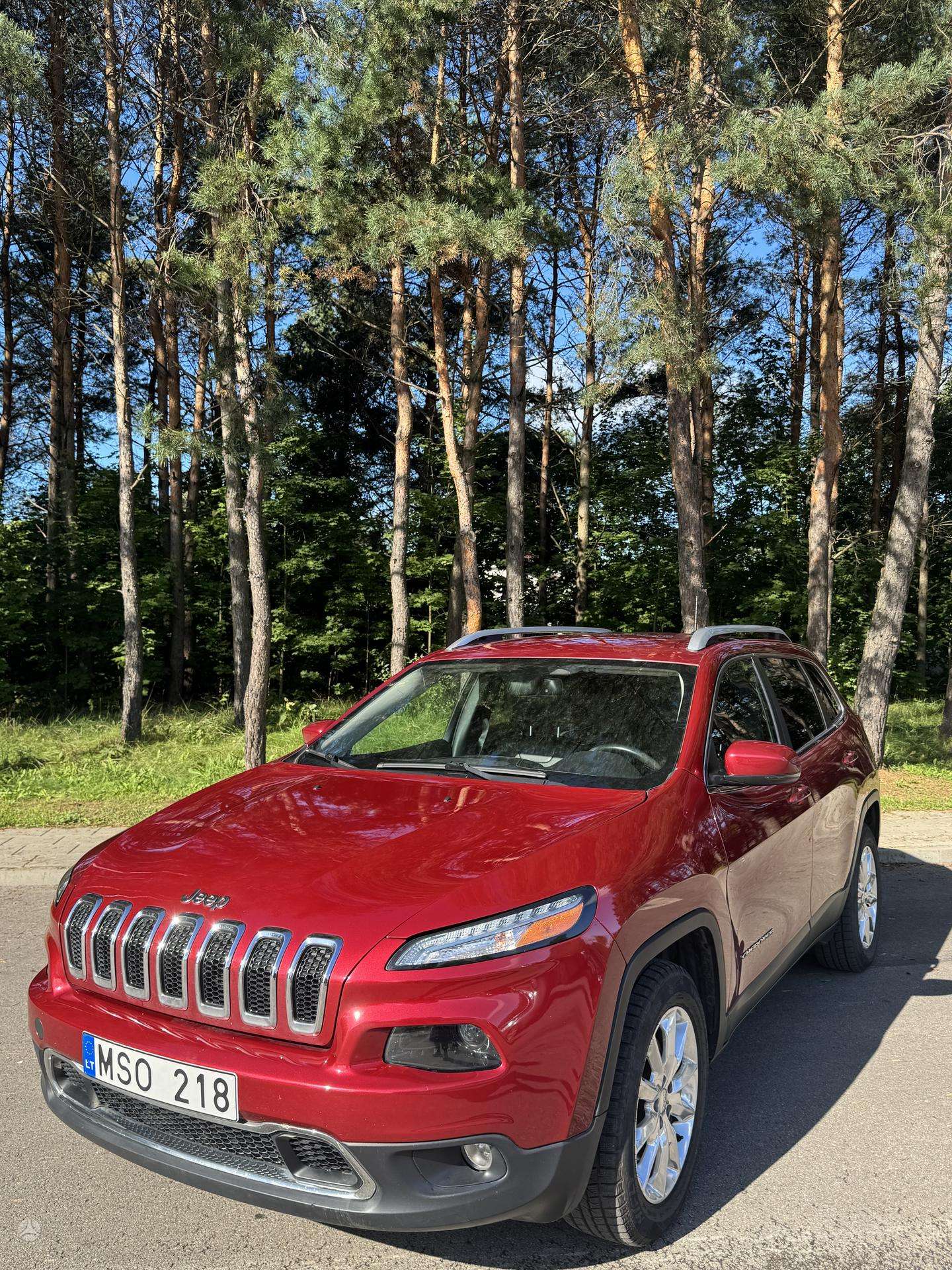 Nuotrauka 1 iš 4