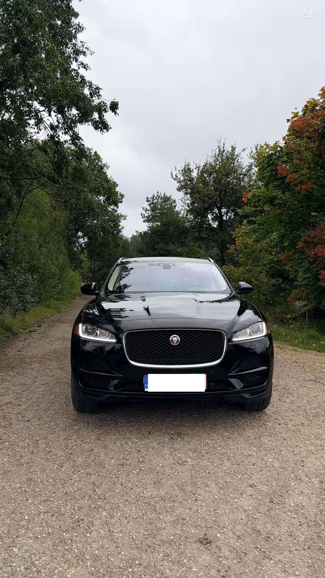 Nuotrauka 2 iš 4