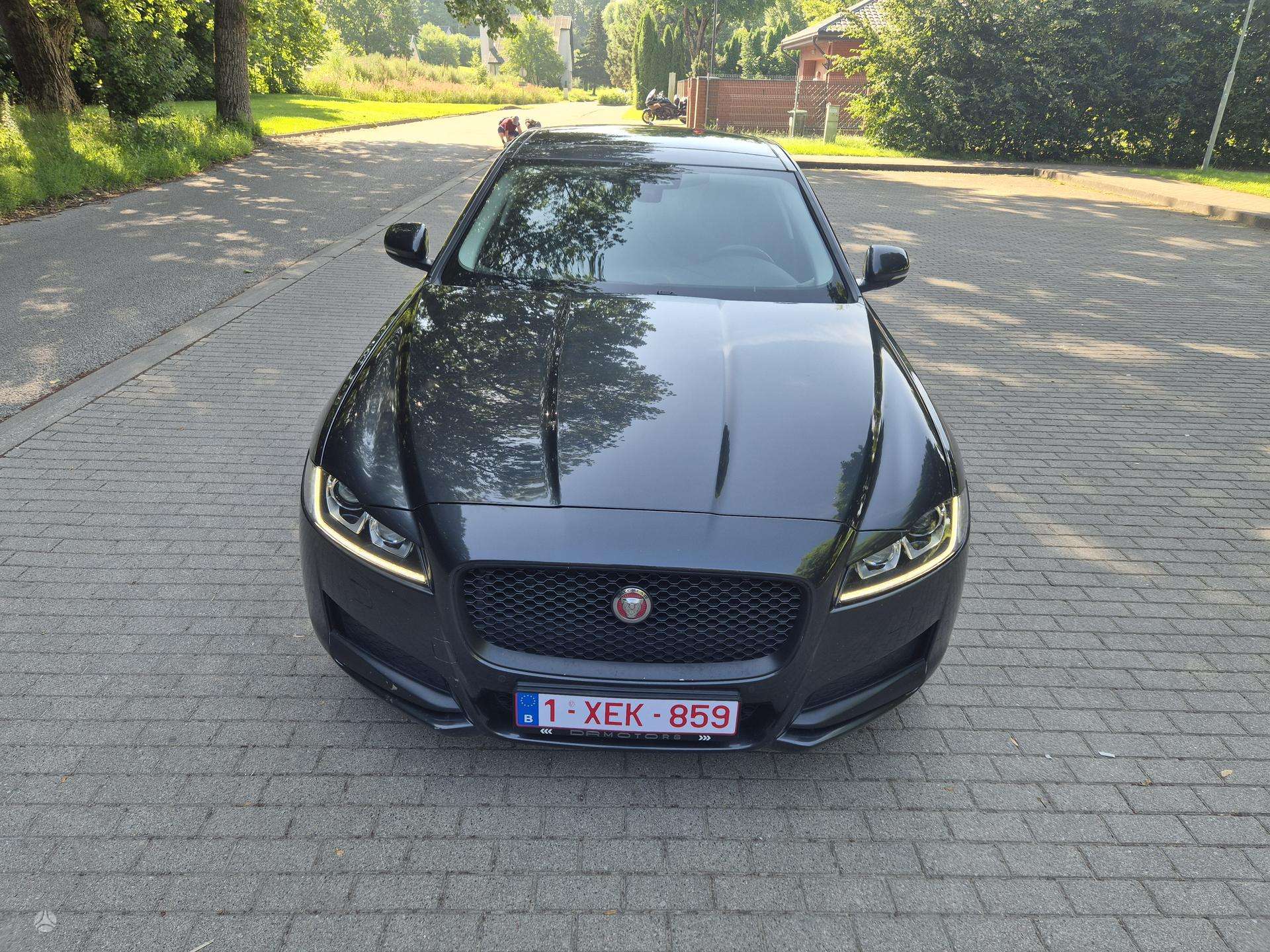 Nuotrauka 1 iš 4