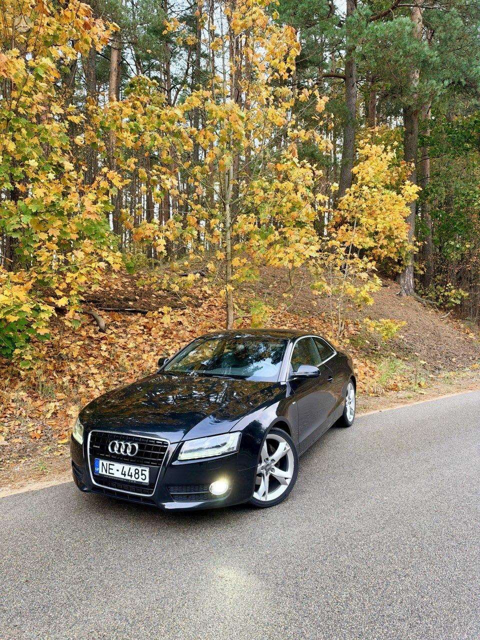 Nuotrauka 1 iš 4