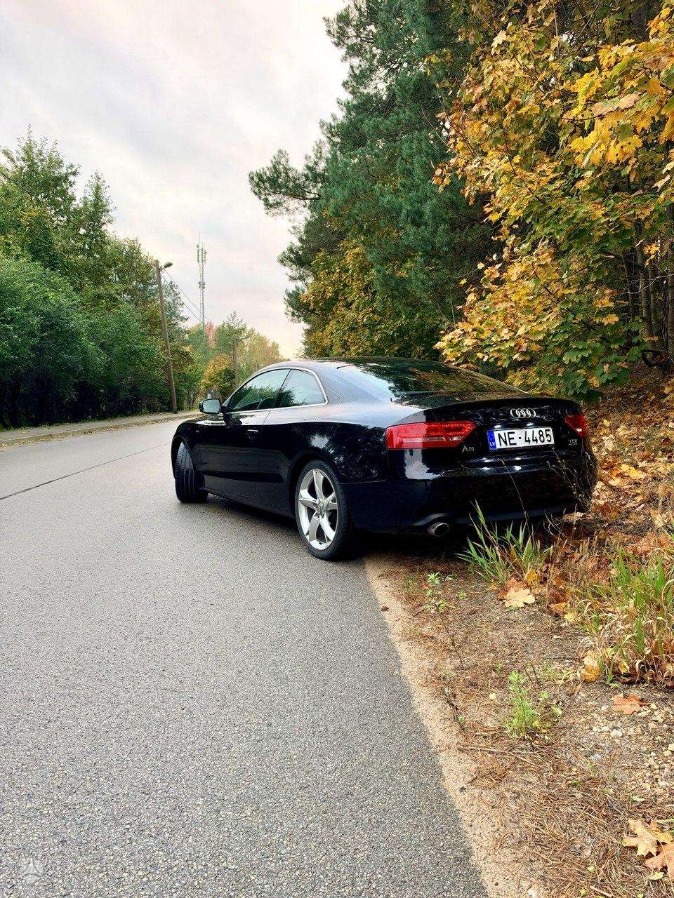 Nuotrauka 4 iš 4