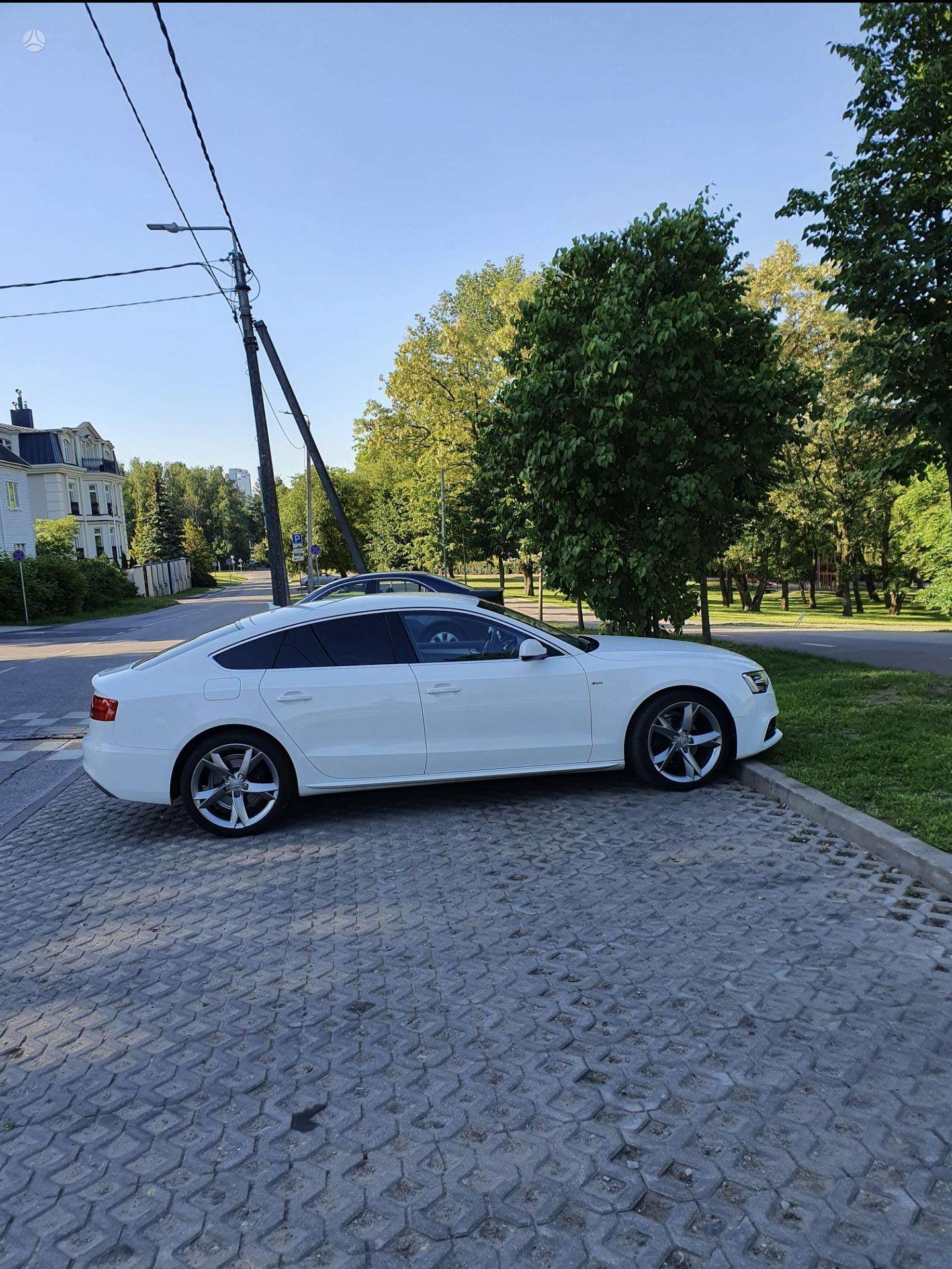Nuotrauka 2 iš 3