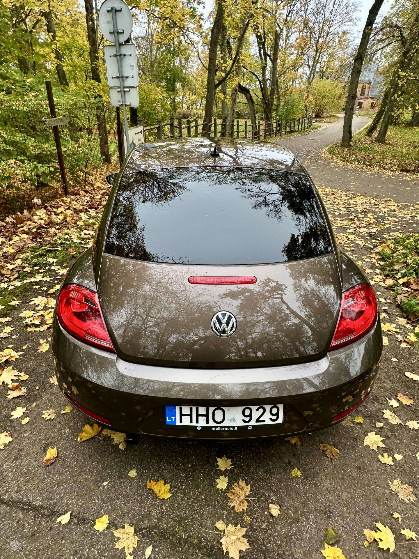 Nuotrauka 4 iš 4