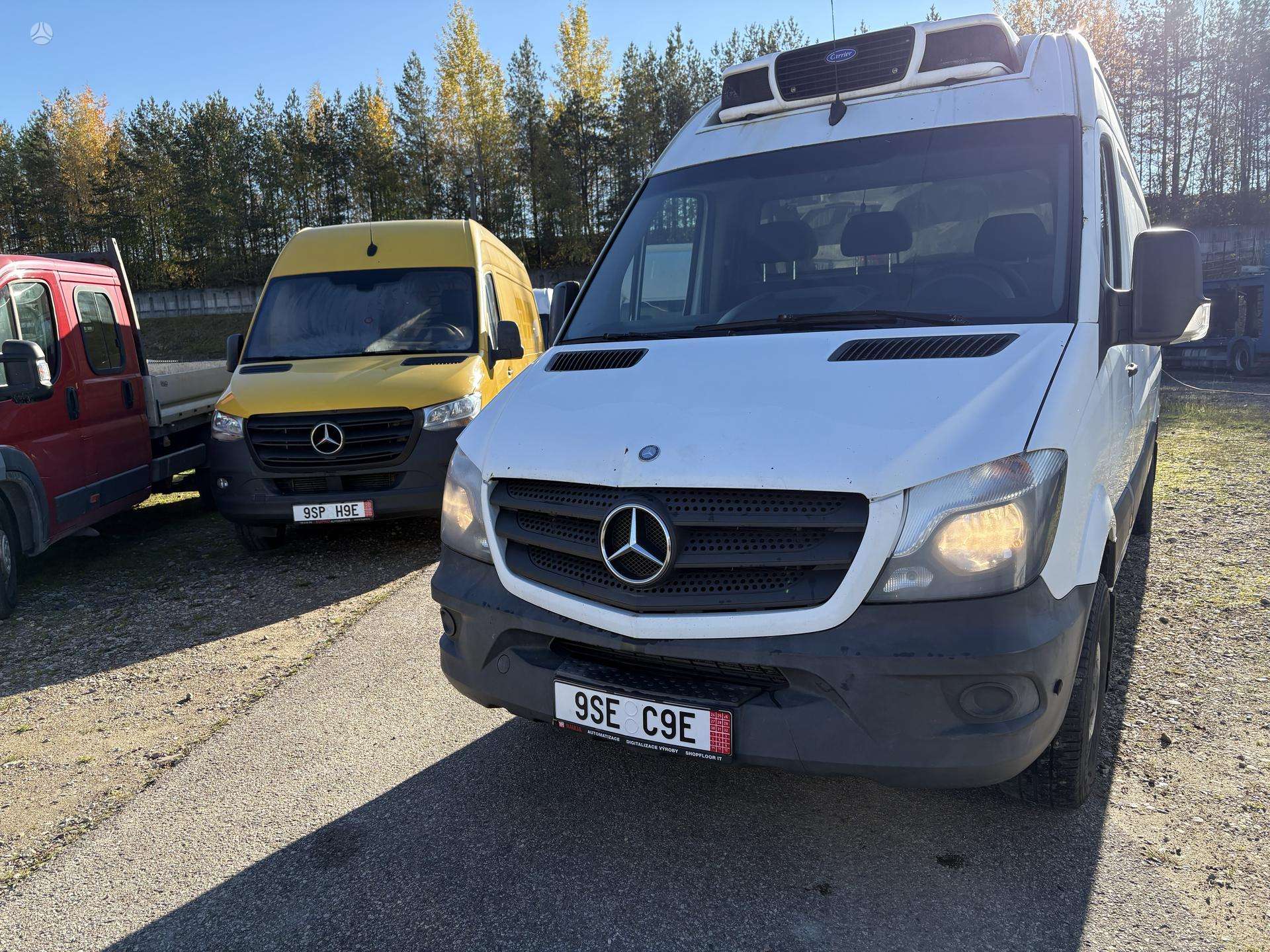 Nuotrauka 3 iš 4
