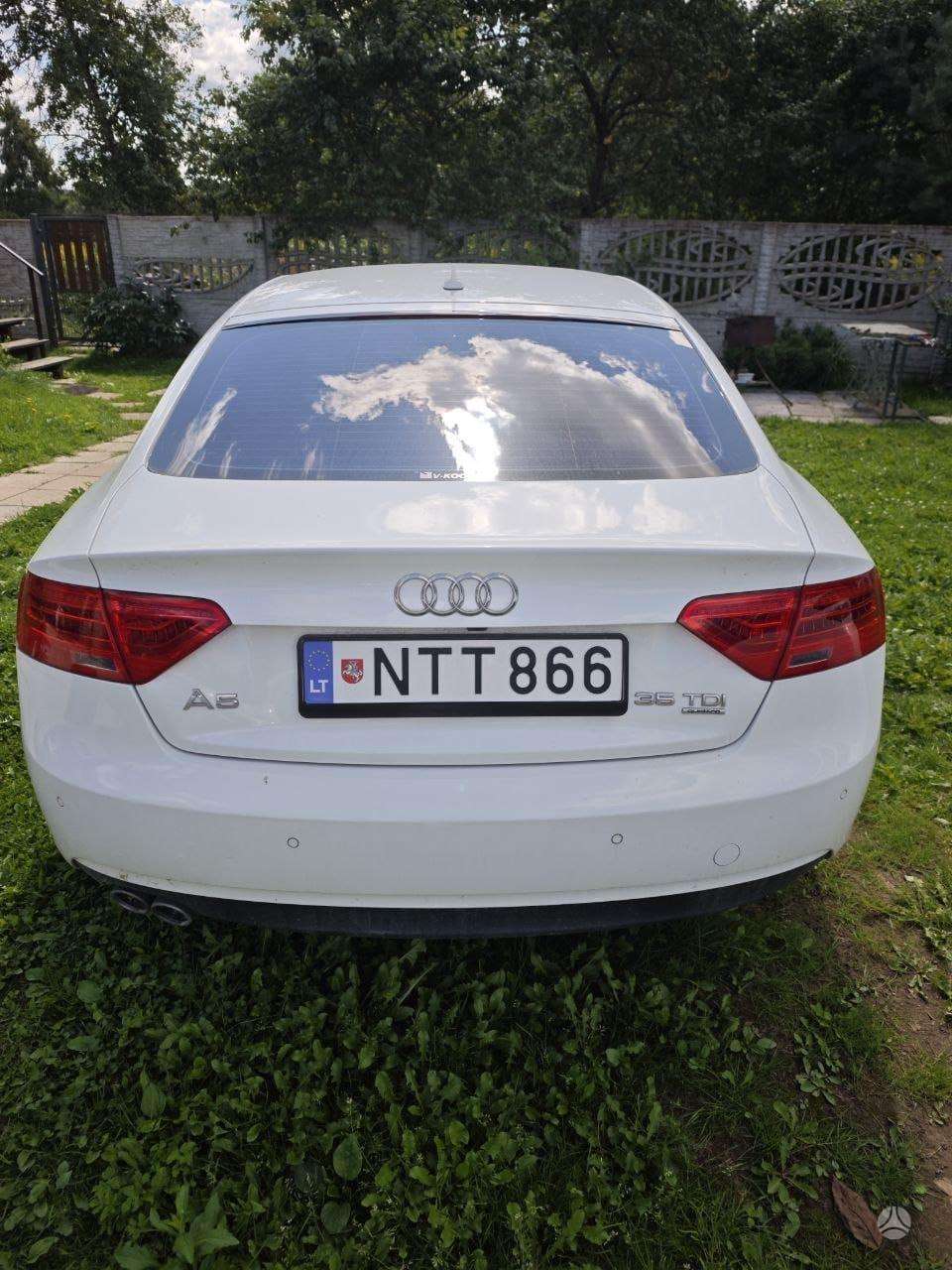 Nuotrauka 2 iš 4