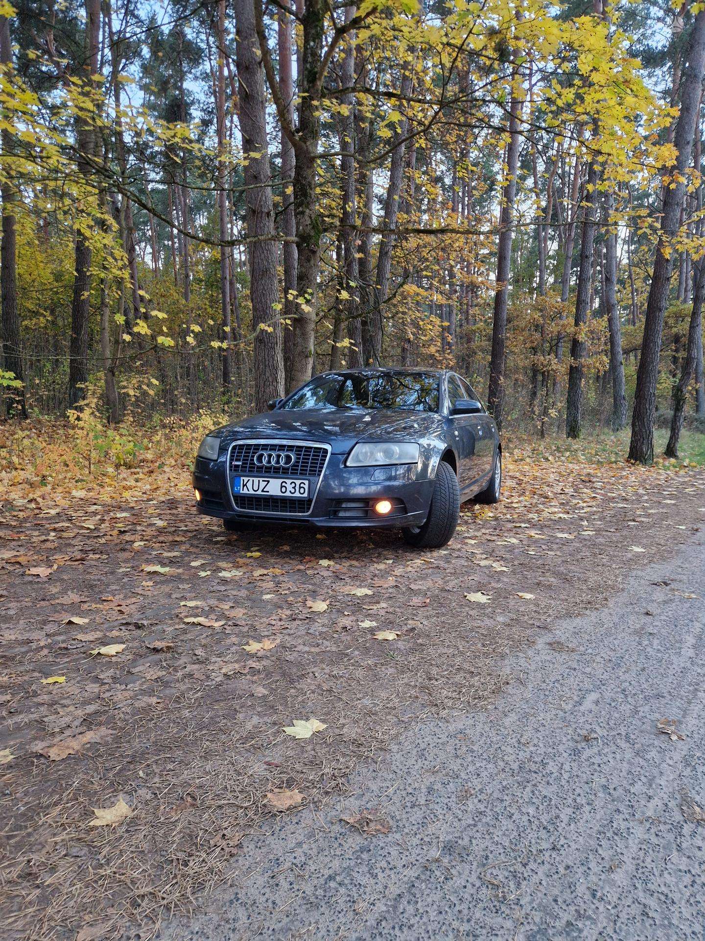 Nuotrauka 3 iš 4