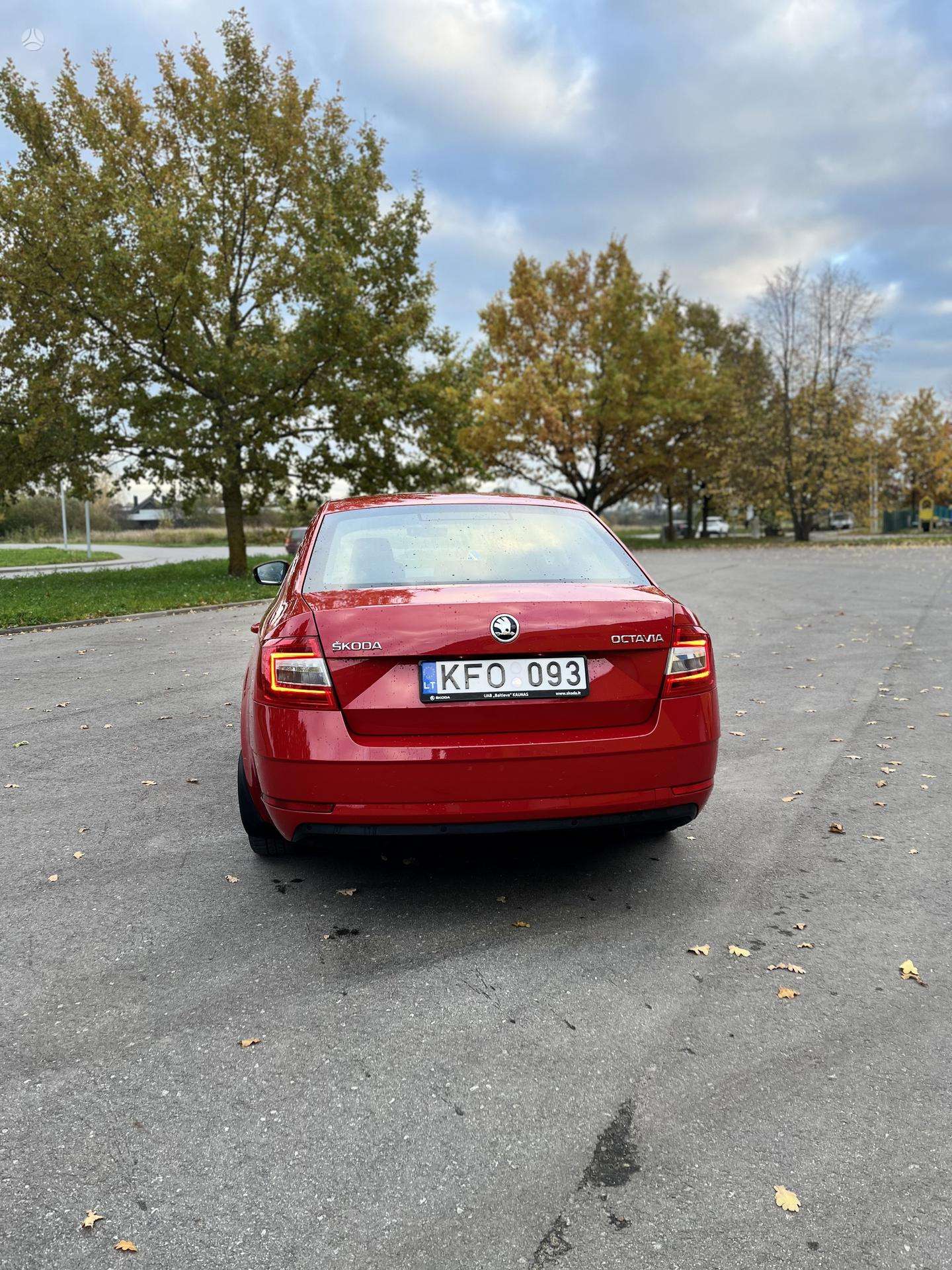 Nuotrauka 4 iš 4