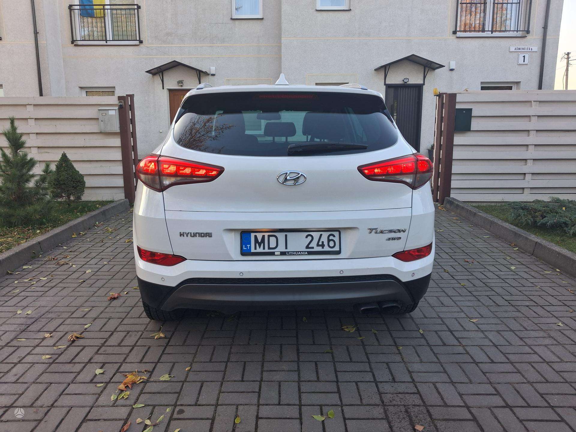 4. foto no 4