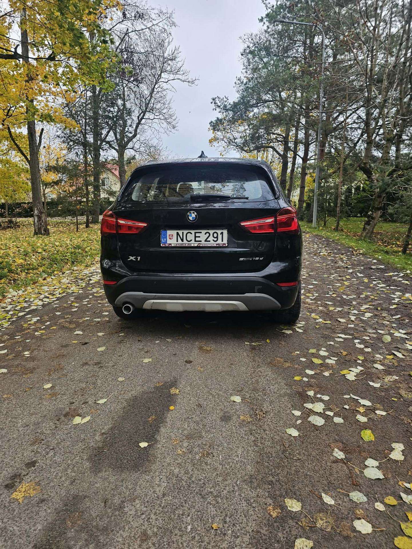 Nuotrauka 4 iš 4
