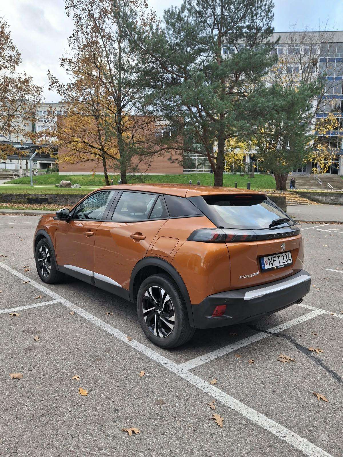Nuotrauka 3 iš 4