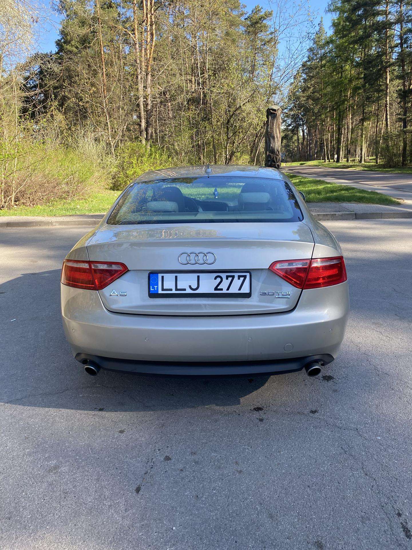 Nuotrauka 4 iš 4