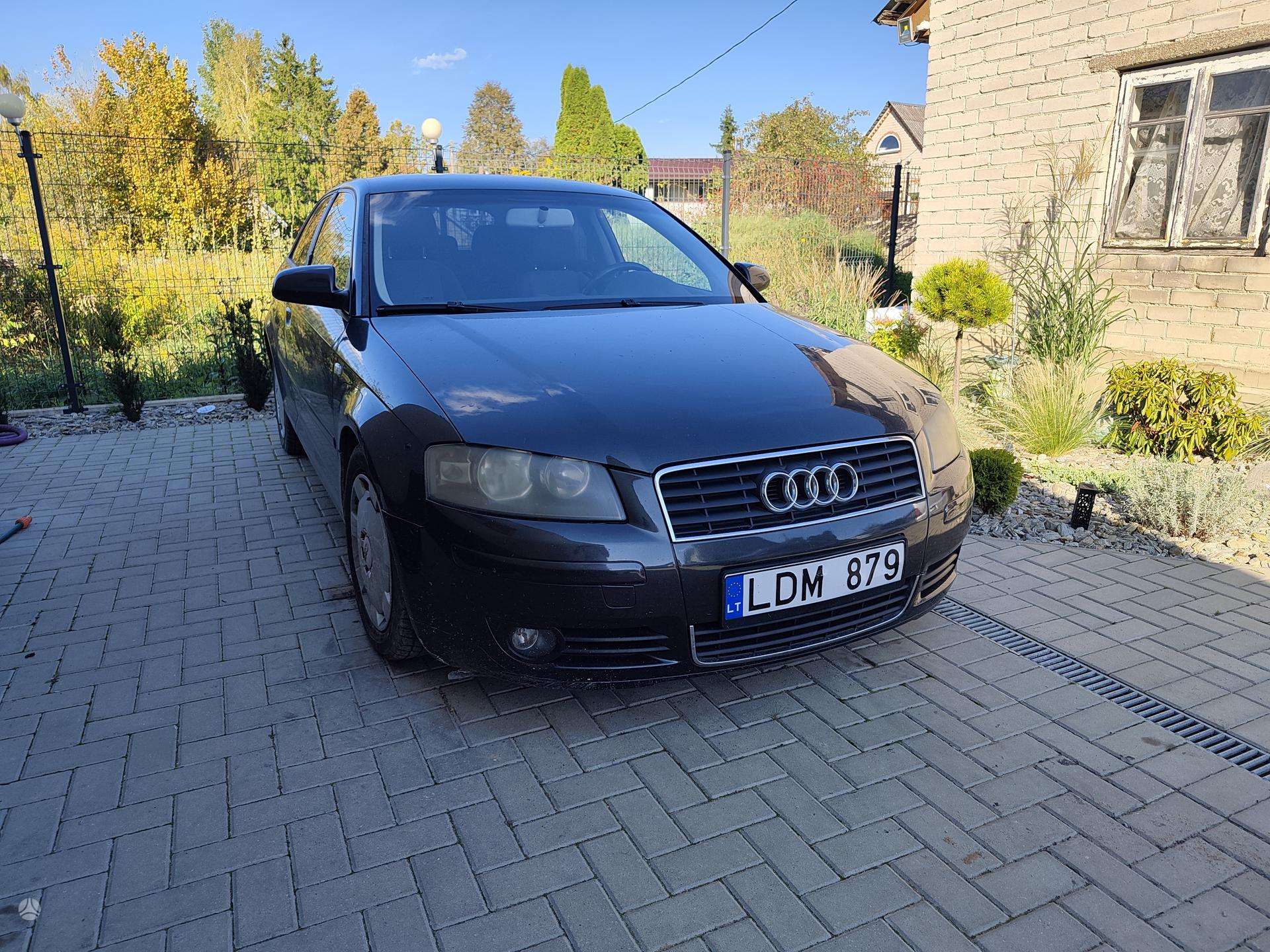 Nuotrauka 1 iš 4