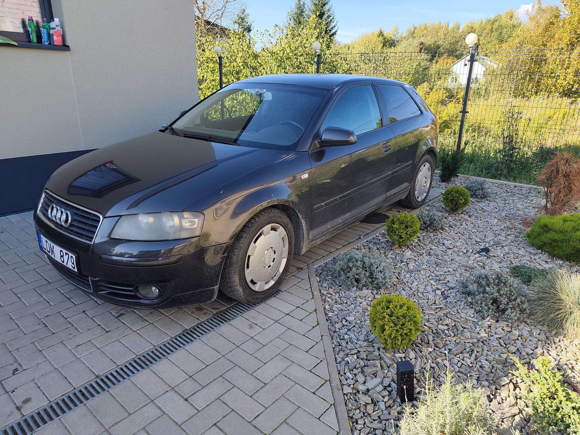 Nuotrauka 4 iš 4