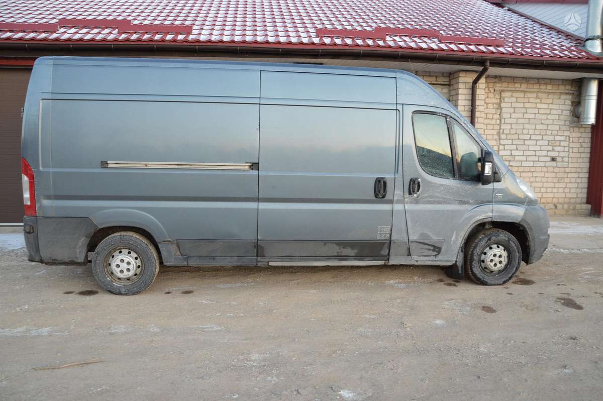 Fiat Ducato, cargo vans