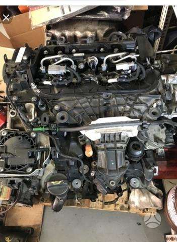 Ford C-MAX, UfBA