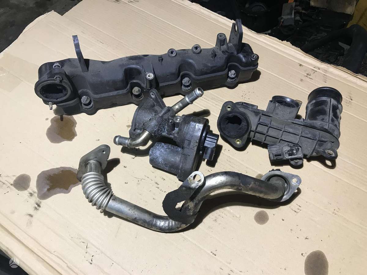 Ford Transit, P8FA PGFA, Transit 2 2 tdci variklio detalės