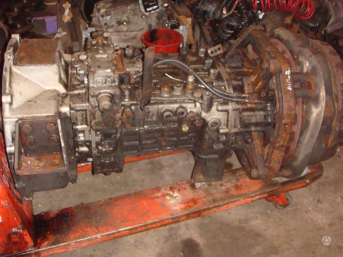 Neoplan N116H, buses