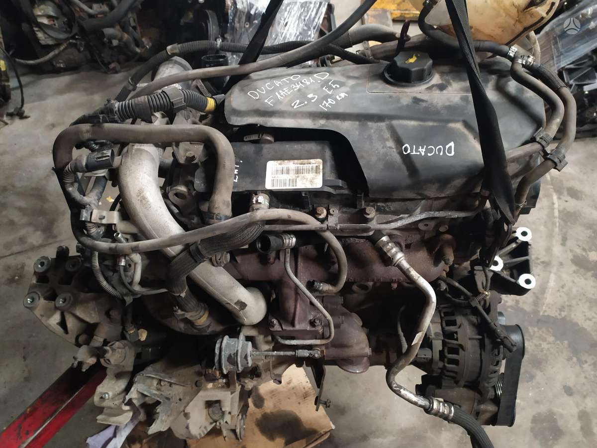 Fiat Ducato, krovininiai mikroautobusai