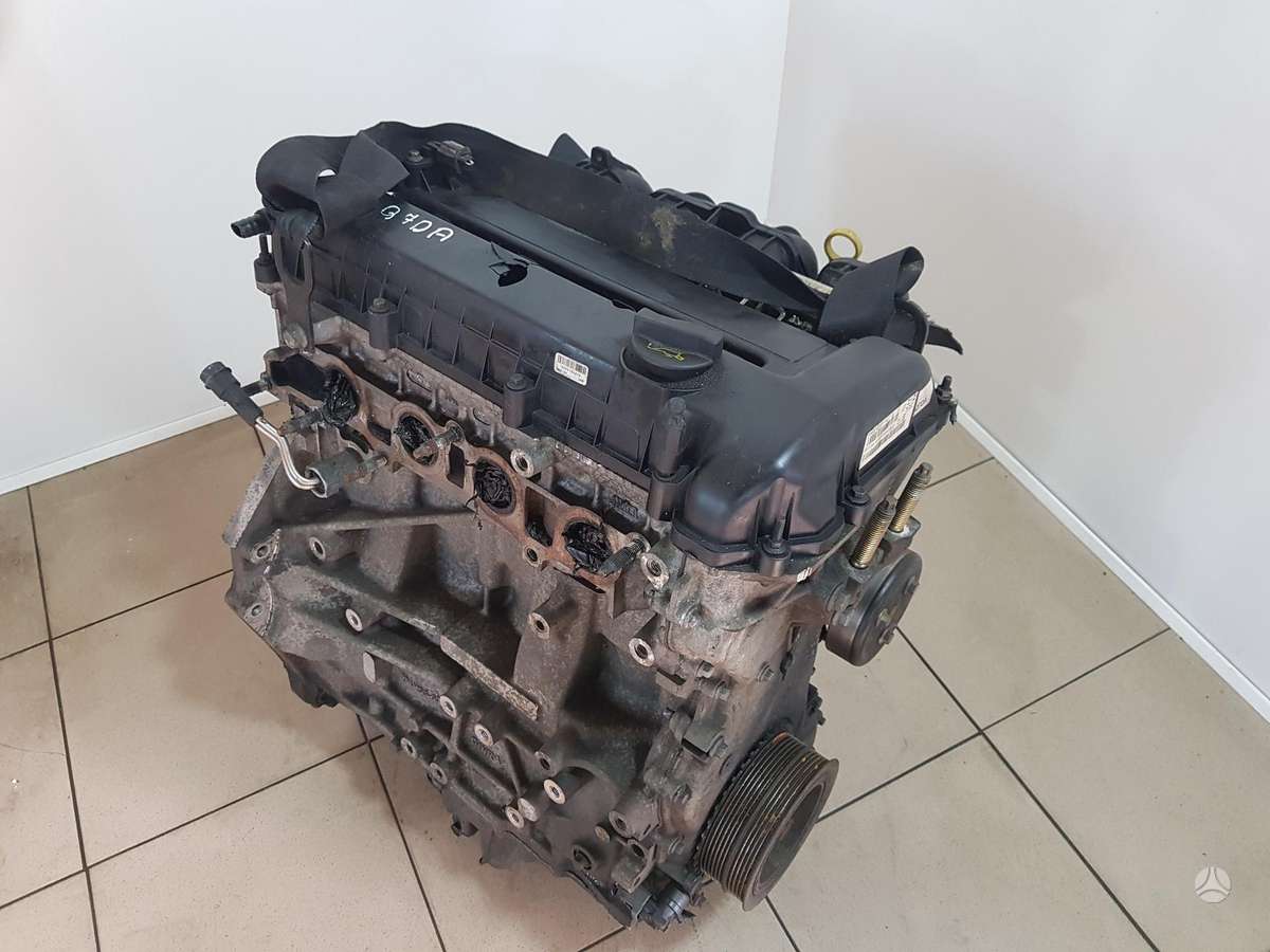 Ford Focus Variklio kodas q7da