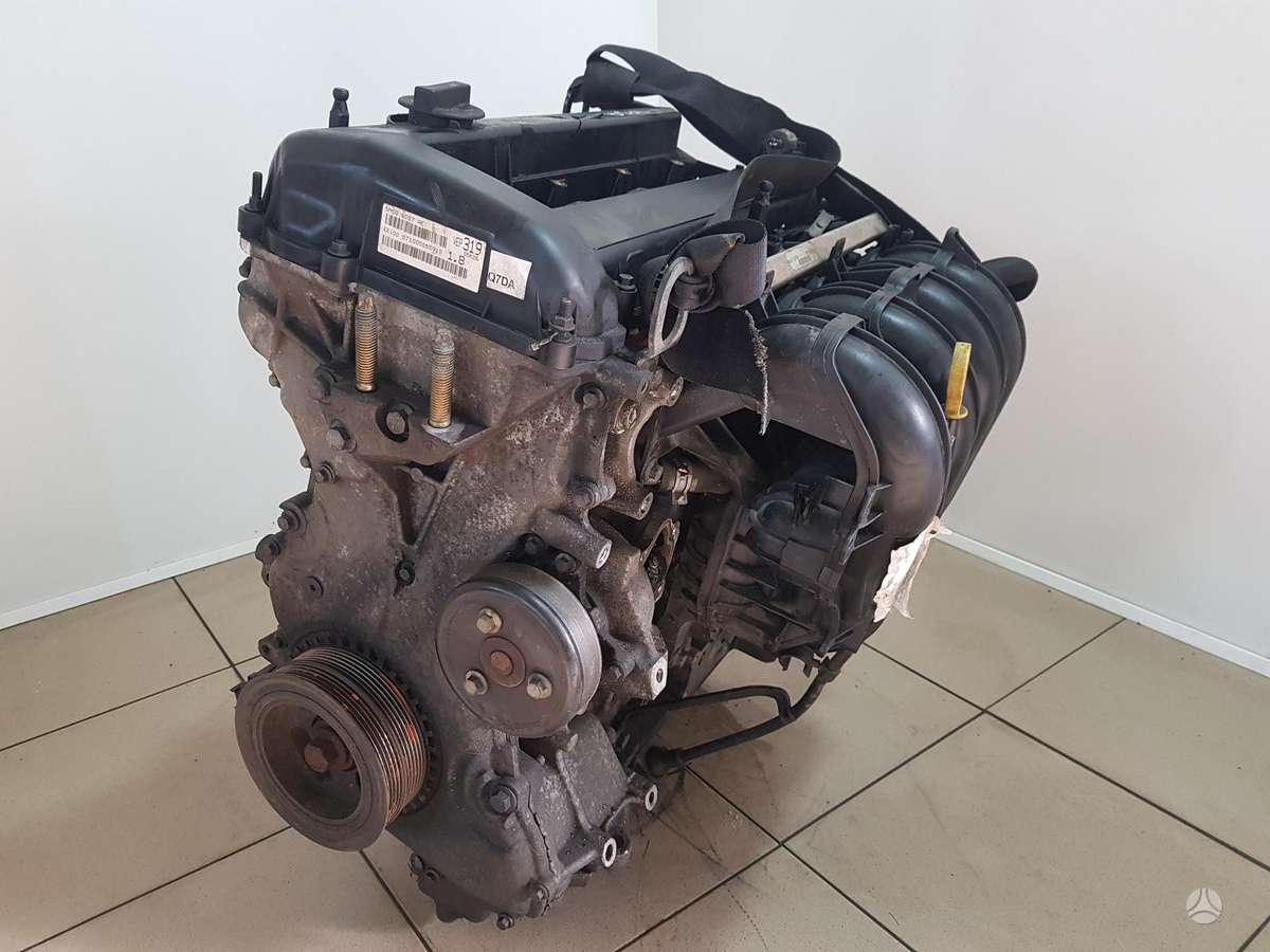 Ford Focus Variklio kodas q7da