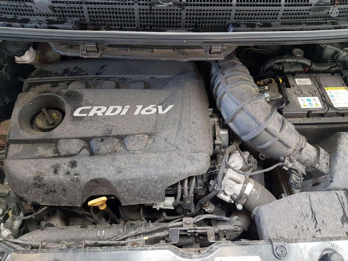 Kia Carens по частям. Dalimis