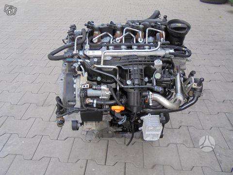 Volkswagen Passat, CAY
