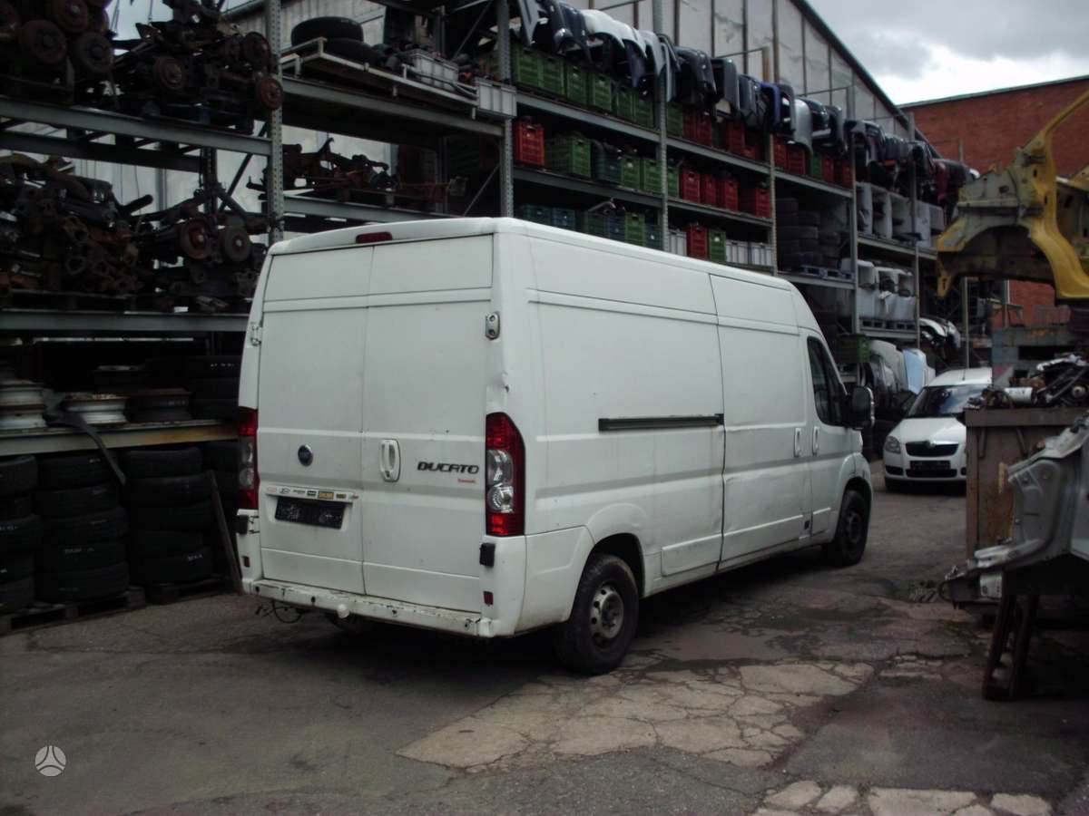 Fiat Ducato 3.0 2.2 2.3 JTD, buses