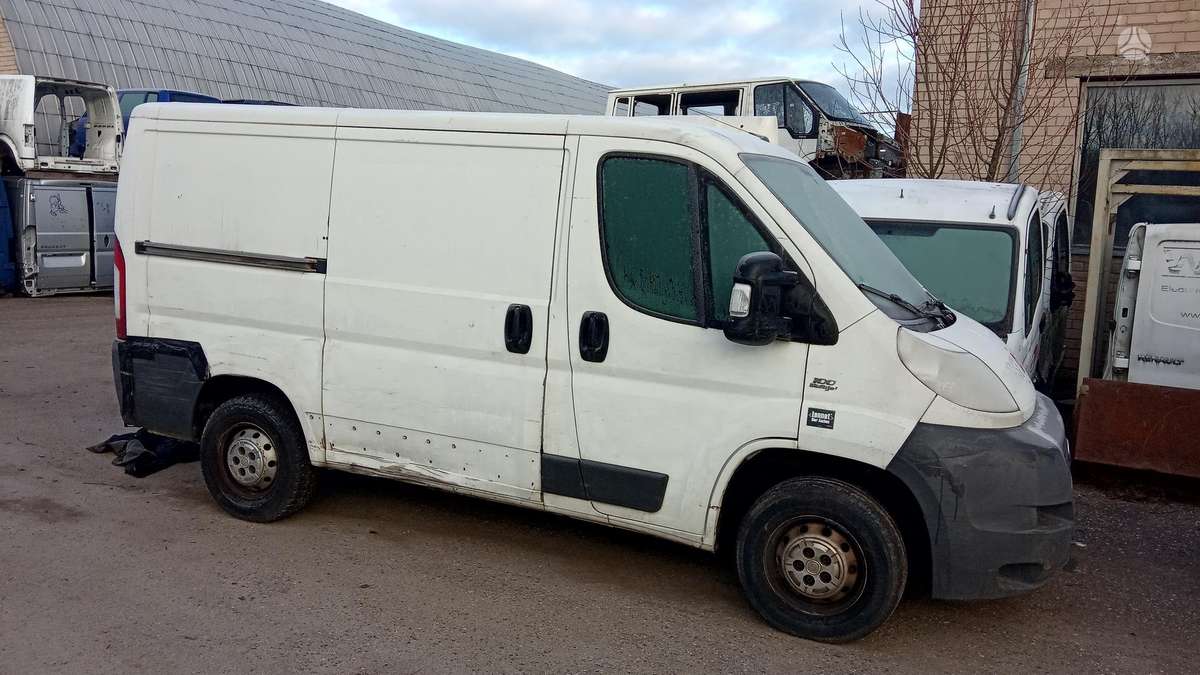Fiat Ducato 3.0 2.2 2.3 JTD, buses