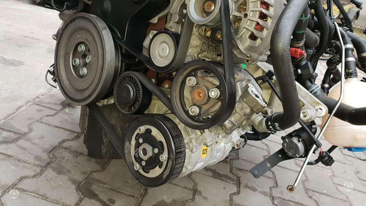Volkswagen Transporter, kita
