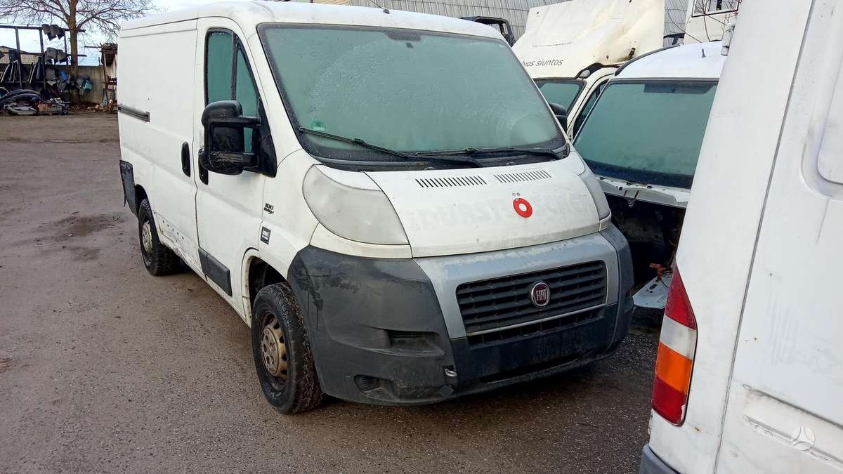 Fiat Ducato 3.0 2.2 2.3 JTD, buses