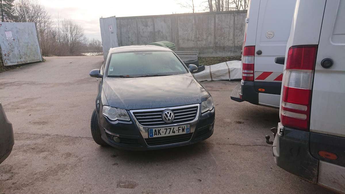 Volkswagen Passat dalimis