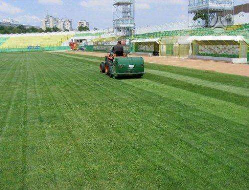 PERUZZO KOALA 1600, hay mowers / conditioners