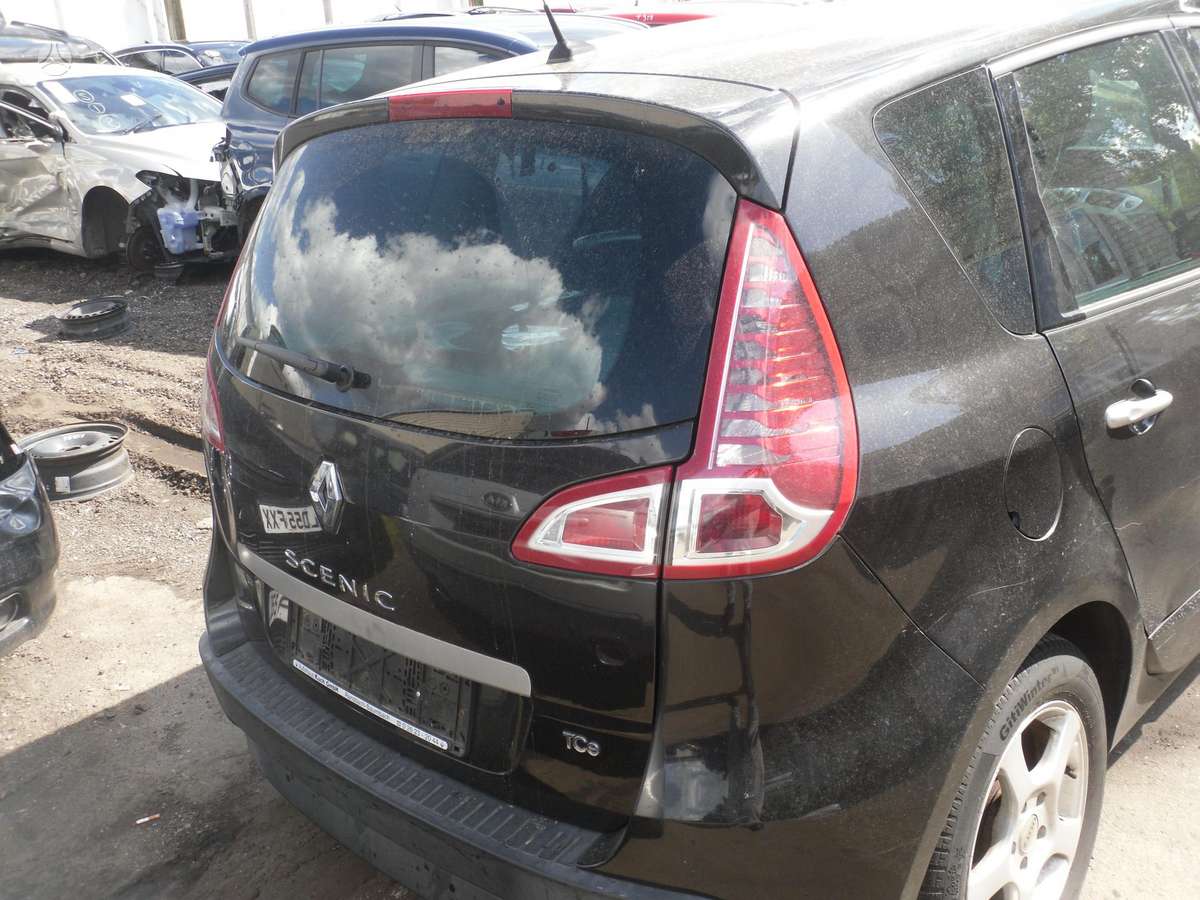Renault Scenic dalimis