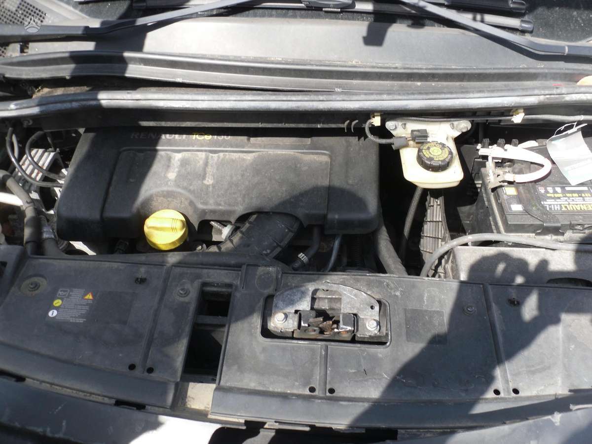 Renault Scenic dalimis
