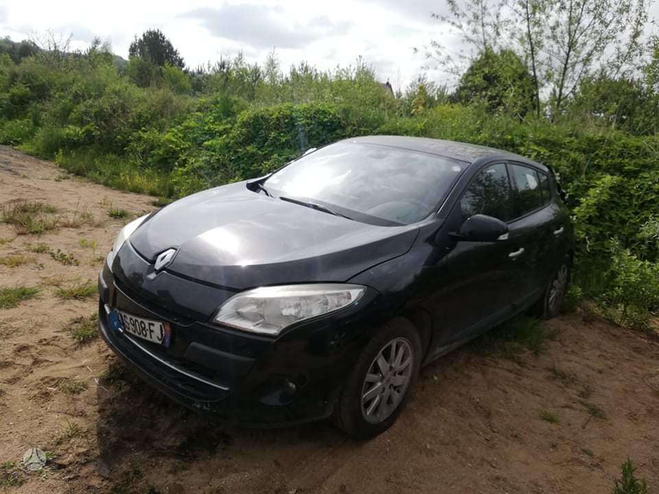 Renault Megane dalimis