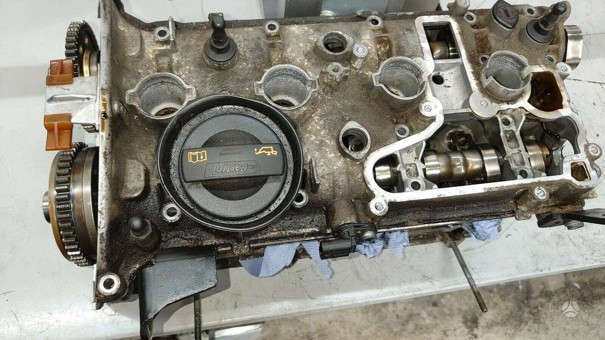 Volkswagen Golf variklio detalės