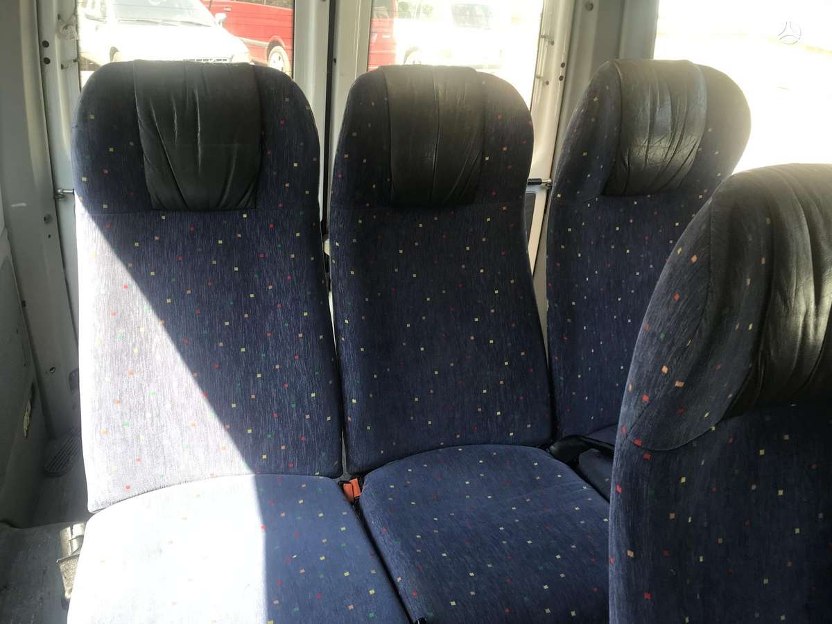 Mercedes-Benz 313, passenger vans