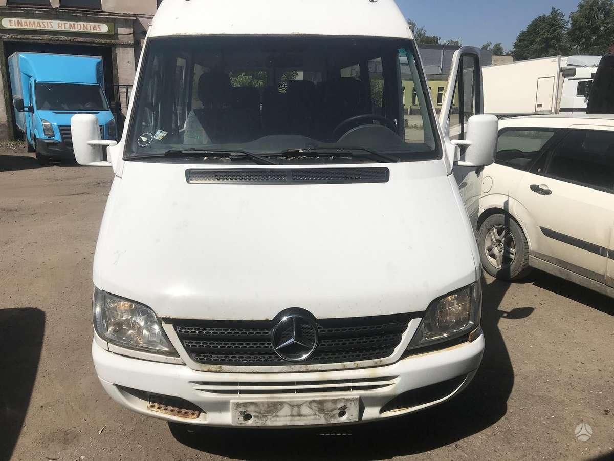 Mercedes-Benz 313, passenger vans