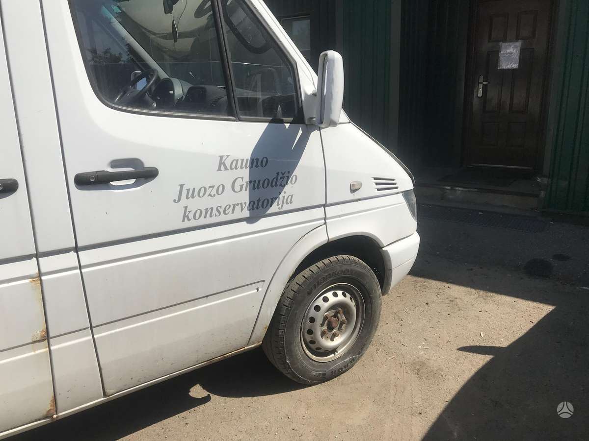 Mercedes-Benz 313, passenger vans