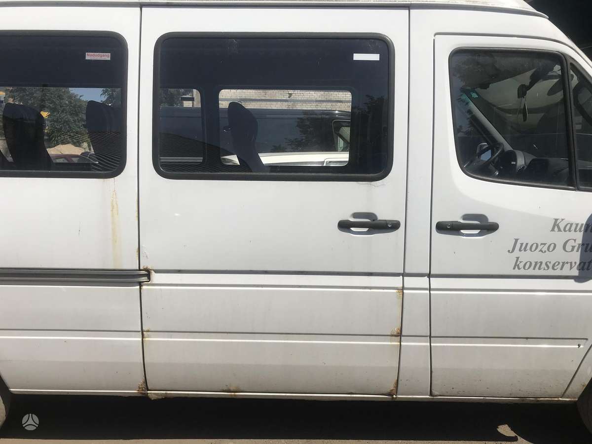 Mercedes-Benz 313, passenger vans